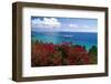 Frenchmans Bay Panorama St Thomas USVI-George Oze-Framed Photographic Print