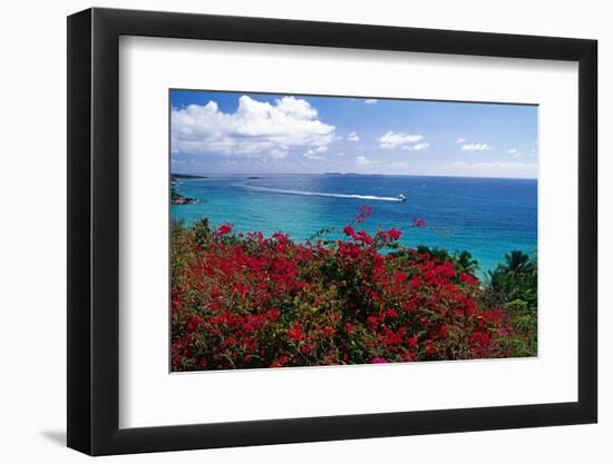 Frenchmans Bay Panorama St Thomas USVI-George Oze-Framed Photographic Print