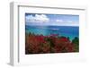 Frenchmans Bay Panorama St Thomas USVI-George Oze-Framed Photographic Print