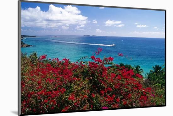 Frenchmans Bay Panorama St Thomas USVI-George Oze-Mounted Photographic Print