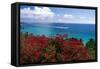 Frenchmans Bay Panorama St Thomas USVI-George Oze-Framed Stretched Canvas