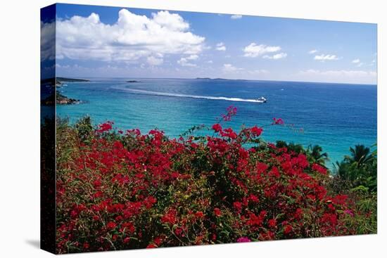 Frenchmans Bay Panorama St Thomas USVI-George Oze-Stretched Canvas