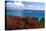 Frenchmans Bay Panorama St Thomas USVI-George Oze-Stretched Canvas