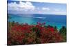 Frenchmans Bay Panorama St Thomas USVI-George Oze-Stretched Canvas