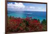 Frenchmans Bay Panorama St Thomas USVI-George Oze-Framed Photographic Print