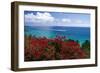 Frenchmans Bay Panorama St Thomas USVI-George Oze-Framed Photographic Print