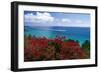 Frenchmans Bay Panorama St Thomas USVI-George Oze-Framed Photographic Print