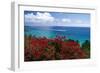 Frenchmans Bay Panorama St Thomas USVI-George Oze-Framed Photographic Print