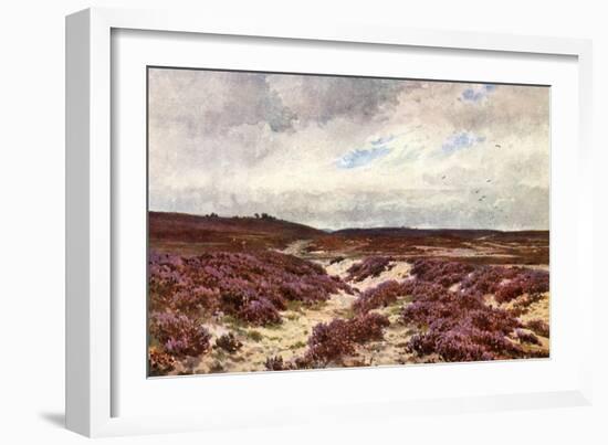 Frensham Common Heather-null-Framed Art Print