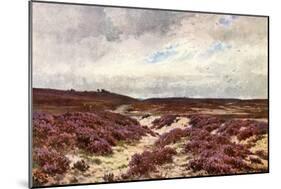 Frensham Common Heather-null-Mounted Art Print