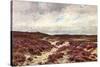 Frensham Common Heather-null-Stretched Canvas