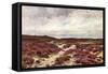 Frensham Common Heather-null-Framed Stretched Canvas