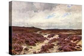 Frensham Common Heather-null-Stretched Canvas