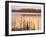 Frensham Great Pond at Sunset with Reeds in Foreground, Frensham, Surrey, England-Pearl Bucknell-Framed Photographic Print