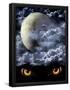 Essential Black