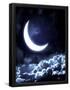 Essential Black