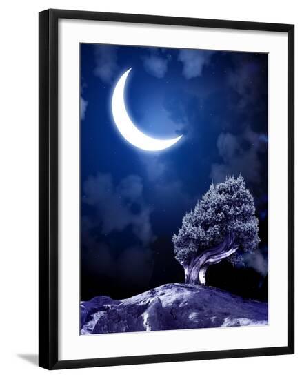 Premium Photographic Print, , large
