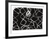 Frequency V-Jennifer Goldberger-Framed Art Print