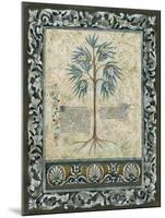 Fresco Botanica IV-Jen Kirstein-Mounted Giclee Print
