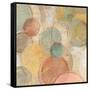 Fresco Bubbles-Silvia Vassileva-Framed Stretched Canvas