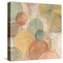 Fresco Bubbles-Silvia Vassileva-Stretched Canvas