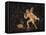 Fresco Depicting Cupid Chasing Hare, from Pompei, Italy-null-Framed Stretched Canvas