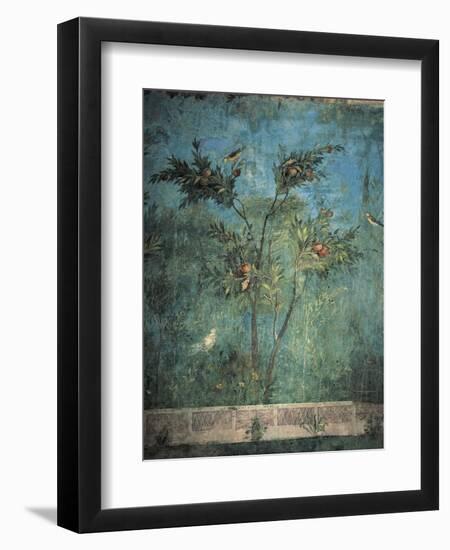 Fresco Depicting Garden with Fruit Trees and Birds-null-Framed Giclee Print