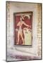 Fresco in Palace of Knossos, Iraklion (Heraklion) (Iraklio), Crete, Greek Islands, Greece, Europe-Markus Lange-Mounted Photographic Print