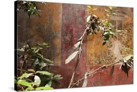 Fresco in the Garden at the Poppea Villa (Villa Poppaea)-Oliviero Olivieri-Stretched Canvas