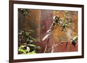 Fresco in the Garden at the Poppea Villa (Villa Poppaea)-Oliviero Olivieri-Framed Photographic Print