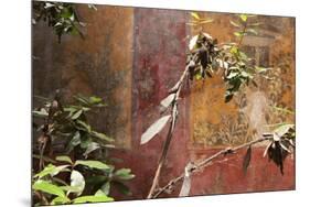 Fresco in the Garden at the Poppea Villa (Villa Poppaea)-Oliviero Olivieri-Mounted Photographic Print
