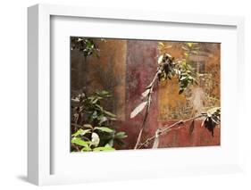 Fresco in the Garden at the Poppea Villa (Villa Poppaea)-Oliviero Olivieri-Framed Photographic Print