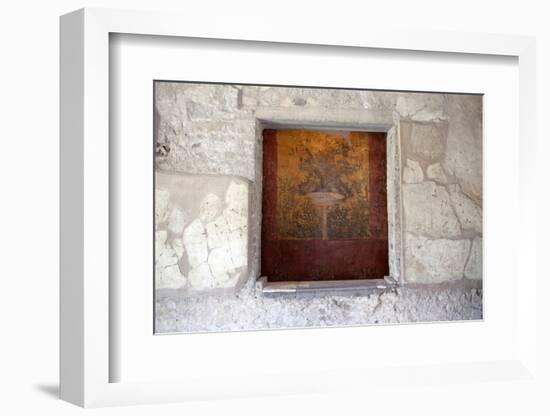 Fresco of the Poppea Villa (Villa Poppaea)-Oliviero Olivieri-Framed Photographic Print