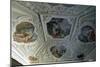 Frescoed Ceiling of Cerveny Kamen Castle, Near Casta. Detail. Slovakia.-null-Mounted Giclee Print