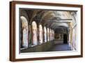 Brown Frame