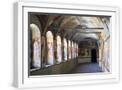 White Frame