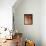 Frescoes and Stucco Works-Rosso Fiorentino-Framed Stretched Canvas displayed on a wall