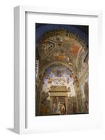 Frescoes by Filippino Lippi-Peter-Framed Photographic Print