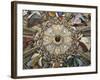 Frescoes of Dome, 1477-Melozzo Da Forli-Framed Giclee Print