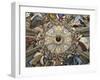 Frescoes of Dome, 1477-Melozzo Da Forli-Framed Giclee Print