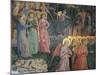 Frescoes of the Chapel of the Magi-Benozzo Gozzoli-Mounted Giclee Print