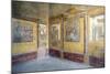 Frescoes on Walls of House of Vettii, Pompeii-null-Mounted Photographic Print