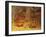 Frescoes, Sigiriya (Lion Rock), UNESCO World Heritage Site, Sri Lanka, Asia-Jochen Schlenker-Framed Photographic Print