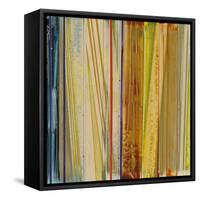 Fresh Air I-Leila-Framed Stretched Canvas