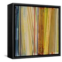 Fresh Air I-Leila-Framed Stretched Canvas