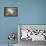 Fresh Air Original-Ruth Palmer-Framed Stretched Canvas displayed on a wall