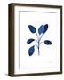 Fresh and Blue VII-Farida Zaman-Framed Art Print