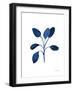 Fresh and Blue VII-Farida Zaman-Framed Art Print