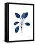 Fresh and Blue VII-Farida Zaman-Framed Stretched Canvas