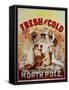 Fresh and Cold - Direct from the North Pole-null-Framed Stretched Canvas